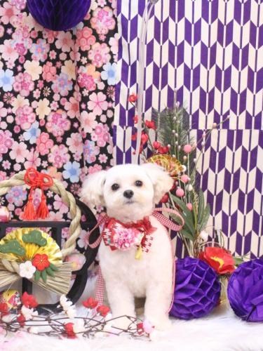 20250123みみくん